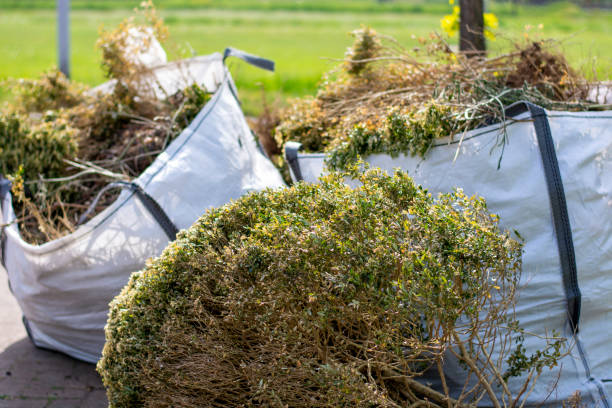 Best Estate Cleanout Services  in Springfield, MO
